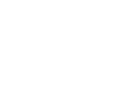 Power up your design system with an Avada prebuilt website